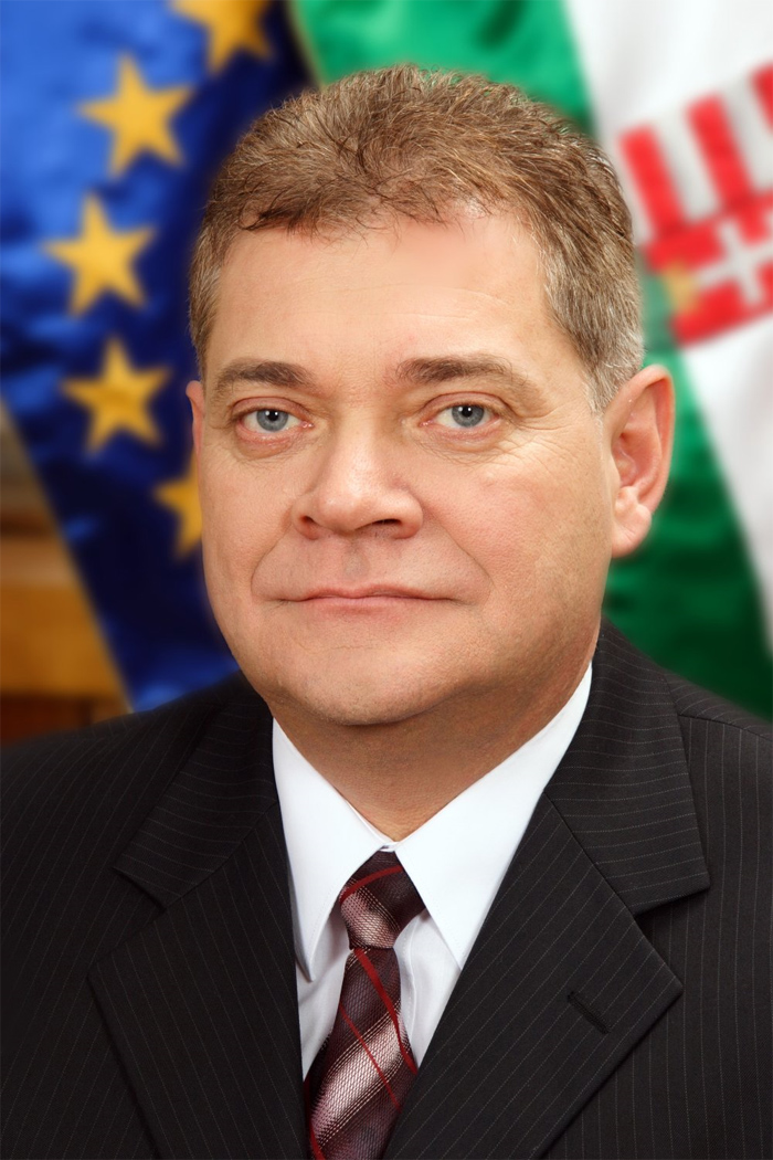 Czeglédi Gyula, Magyar Fürdőszövetség, Hungarospa